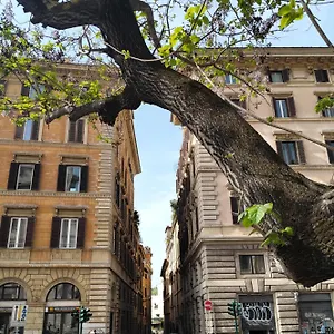 Vatican Near Sweet Terrace Apartment